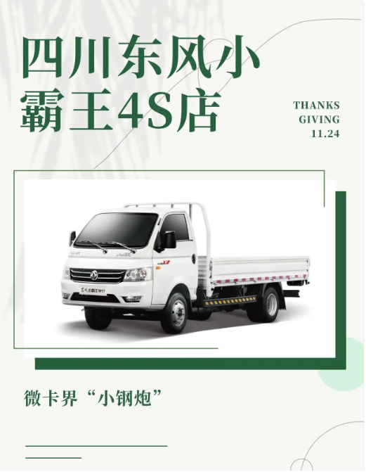 东风小霸王W17柴油车和汽油车怎么选(图1) image.png